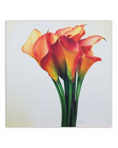 Bild auf Leinwand - Blumenstrauß aus roten Blumen | Feeby