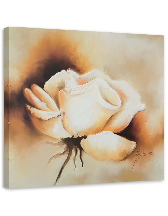 Bild auf Leinwand - Eine Knospe der weißen Rose | Feeby