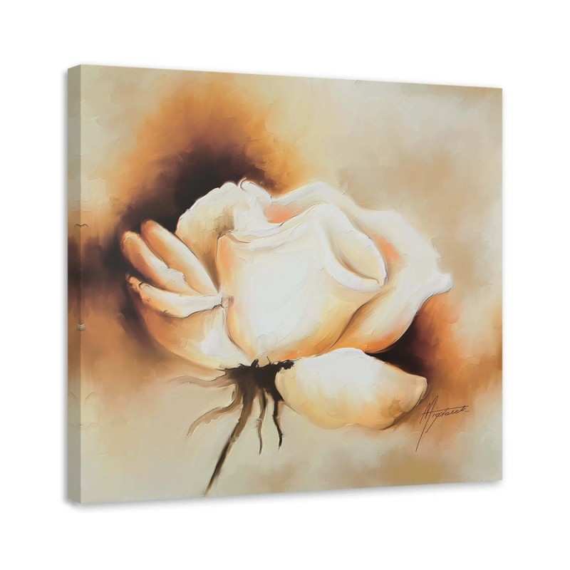 Bild auf Leinwand - Eine Knospe der weißen Rose | Feeby