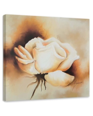 Living room Canvas painting - Cream rose flower | FEEBY