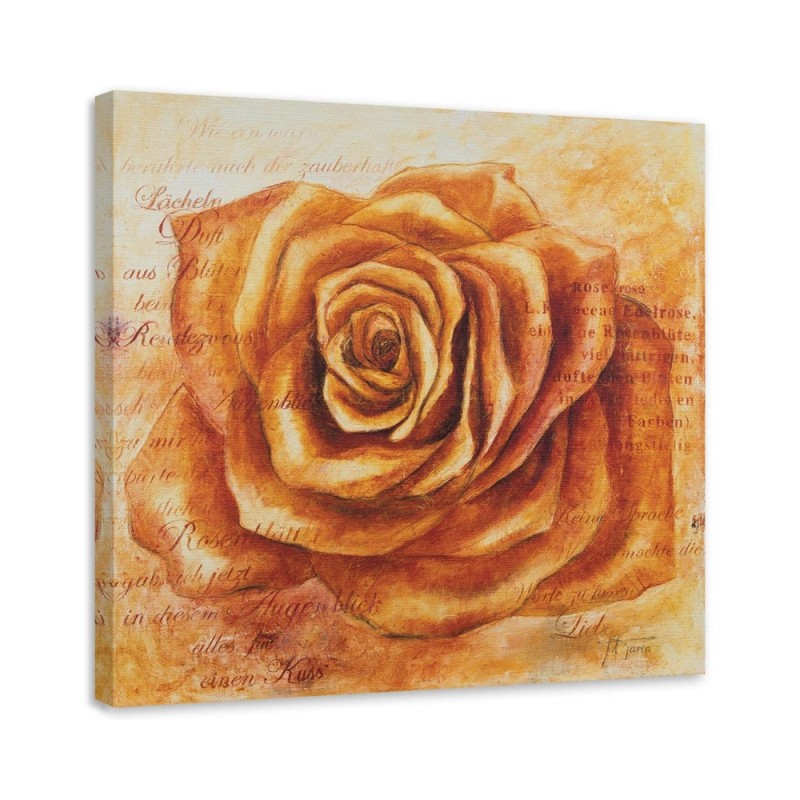 Leinwandbild - Orangefarbener Rosenkopf | Feeby