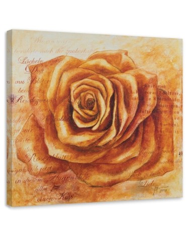 Leinwandbild - Orangefarbener Rosenkopf | Feeby