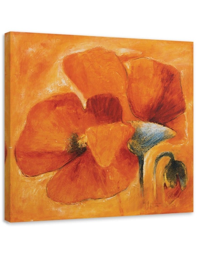 Leinwandbild - Orangefarbene Mohnblumen in Nahaufnahme | Feeby