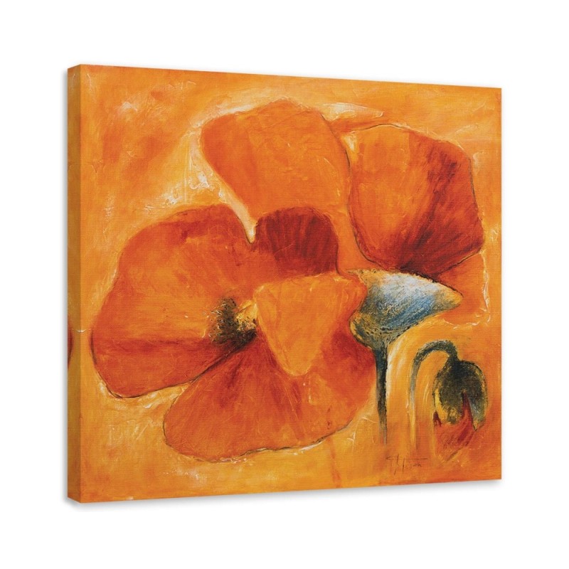 Leinwandbild - Orangefarbene Mohnblumen in Nahaufnahme | Feeby