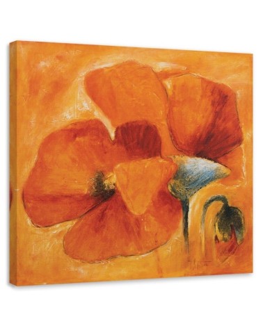 Leinwandbild - Orangefarbene Mohnblumen in Nahaufnahme | Feeby