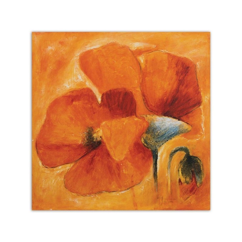 Leinwandbild - Orangefarbene Mohnblumen in Nahaufnahme | Feeby