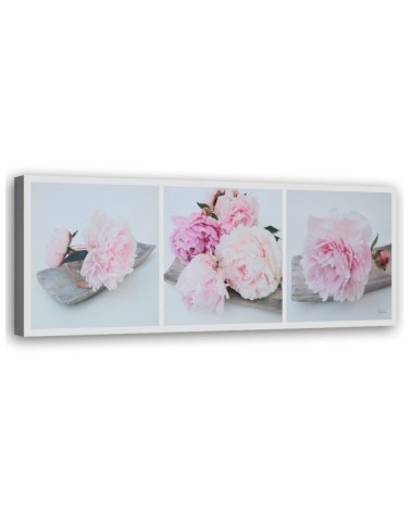 Leinwandbild modern - Rosa Pfingstrosenblüten | Feeby