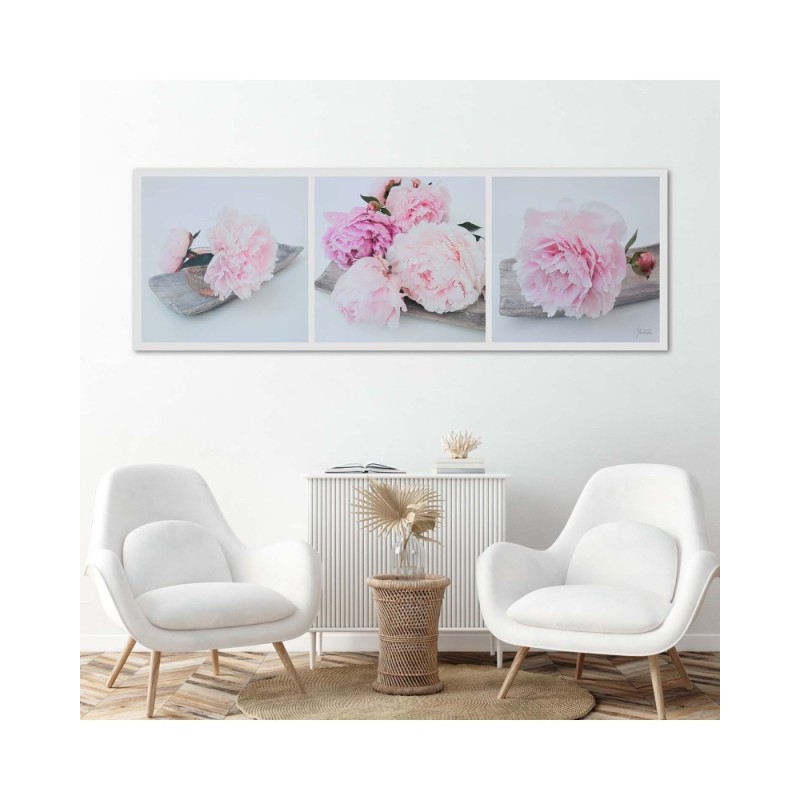 Leinwandbild modern - Rosa Pfingstrosenblüten | Feeby