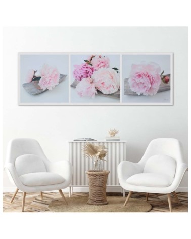 Leinwandbild modern - Rosa Pfingstrosenblüten | Feeby