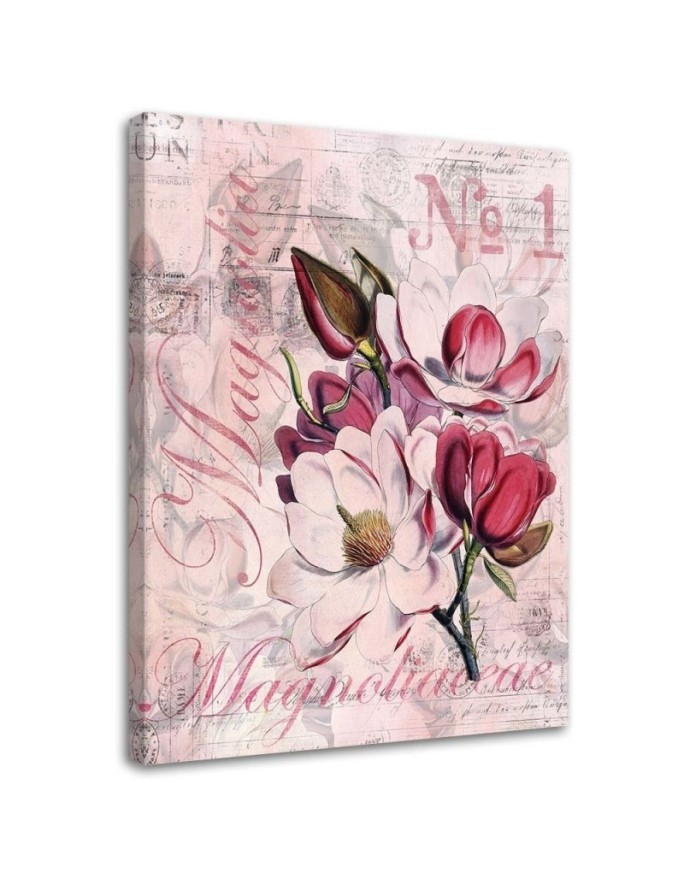 Magnolie na różowym tle Andrea Haase - Obraz w stylu vintage | FEEBY