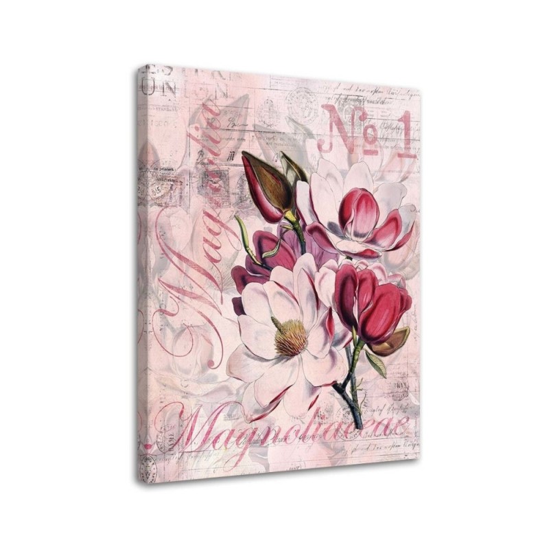 Magnolie na różowym tle Andrea Haase - Obraz w stylu vintage | FEEBY