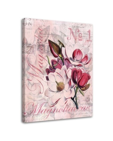 Magnolias on pink background Andrea Haase - Vintage style Canvas painting | FEEBY