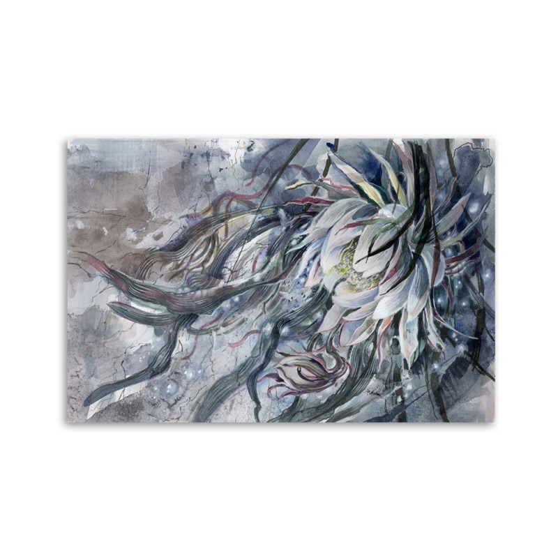 Leinwandbild - Blume der Königin der Nacht | Feeby