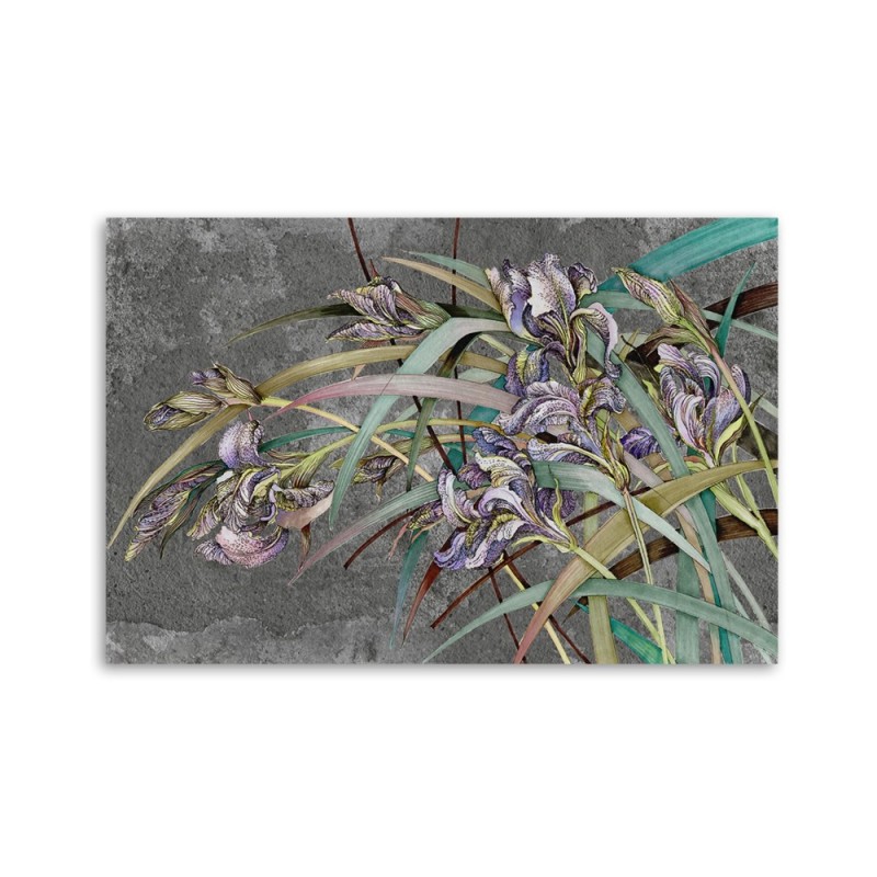 Dekoratives Leinwandbild - Iris Blumen im Wind | Feeby