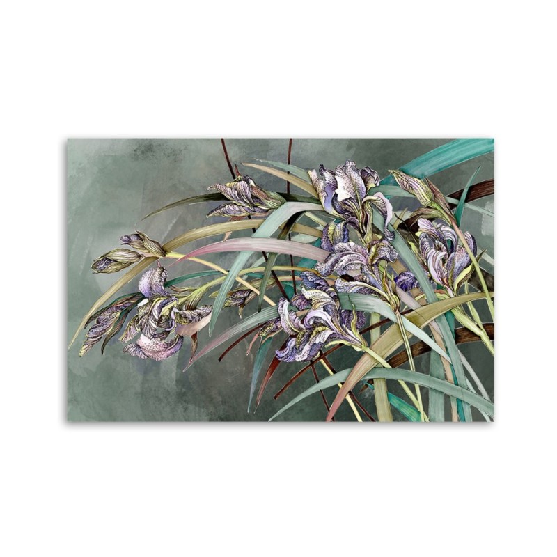 Modernes Wandbild - Iris Blumen im Wind | Feeby