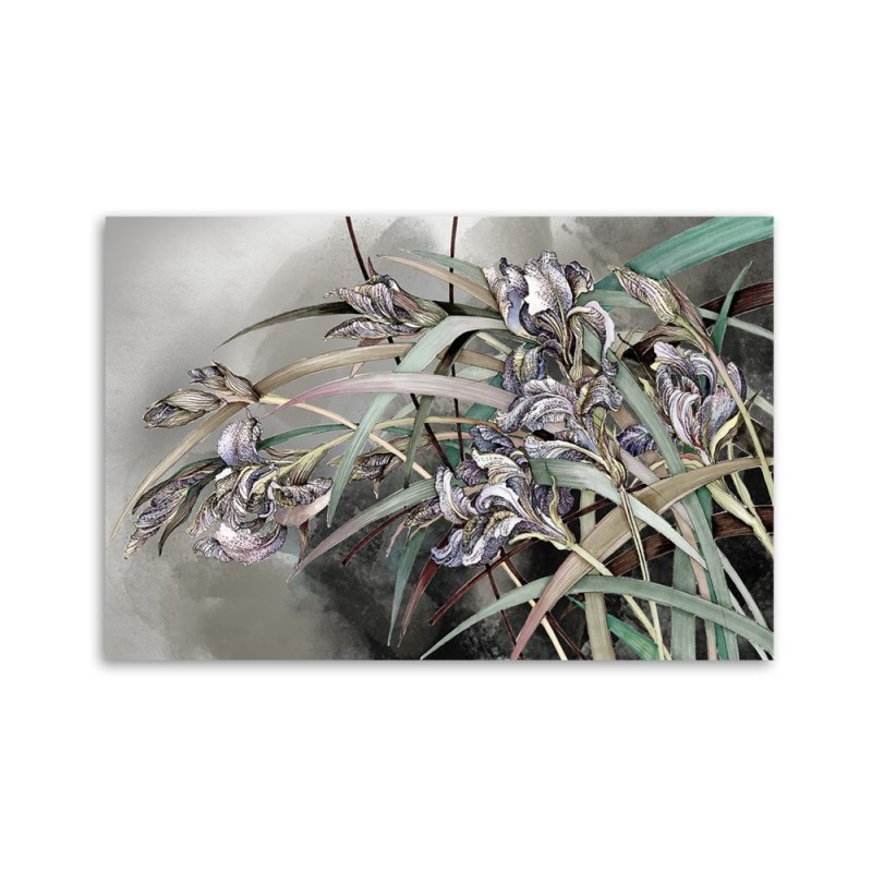 Bild auf Leinwand - Iris Blumen im Wind | Feeby