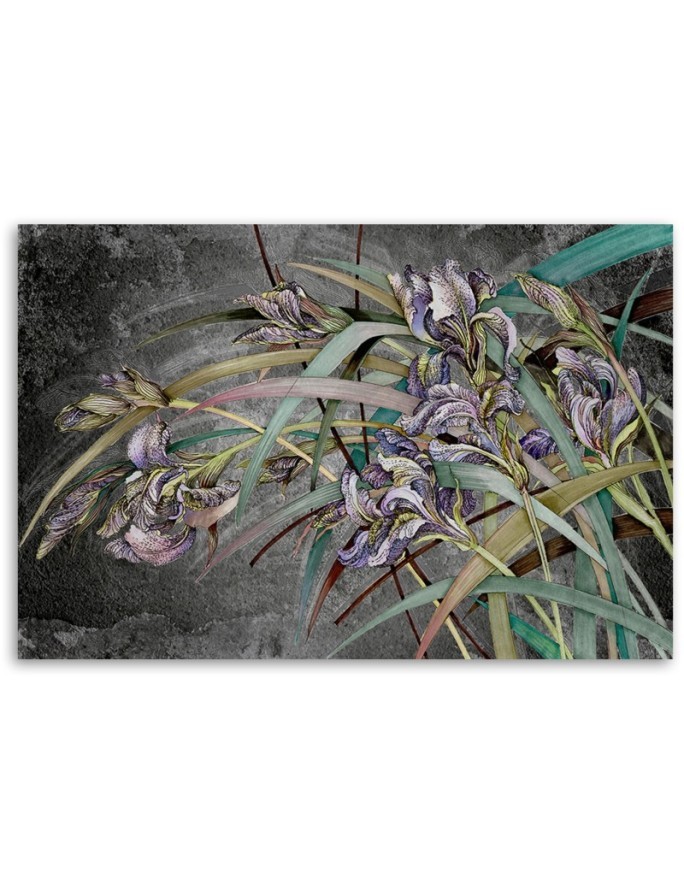 Kwiaty Irysy na wietrze - Obraz nowoczesny canvas | FEEBY