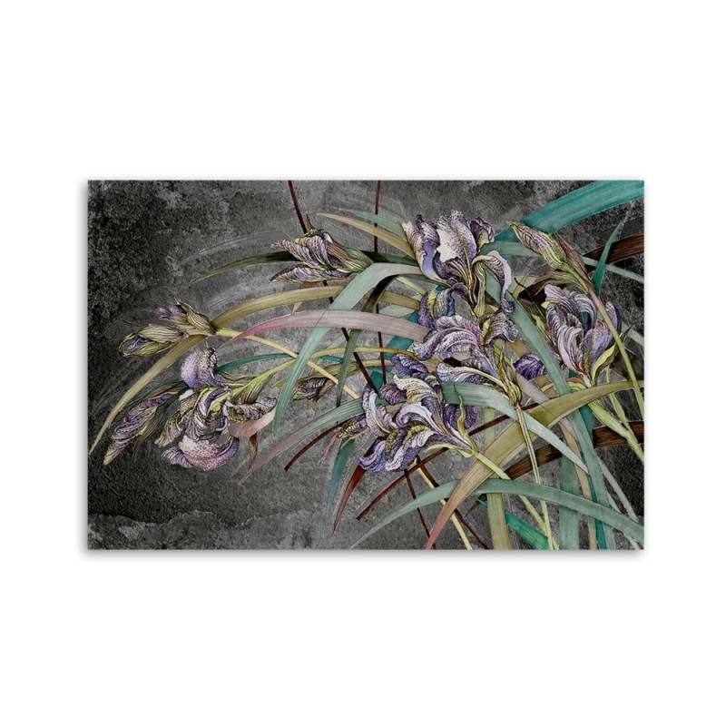 Leinwanddruck - Iris Blumen im Wind | Feeby