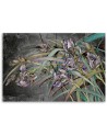 Kwiaty Irysy na wietrze - Obraz nowoczesny canvas | FEEBY