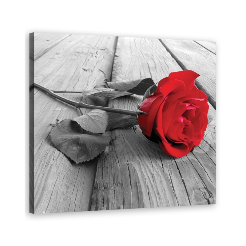 Leinwandbild - rote Rose | Feeby