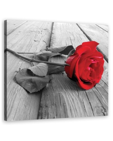 Vintage style Canvas prints - Red rose floral | FEEBY