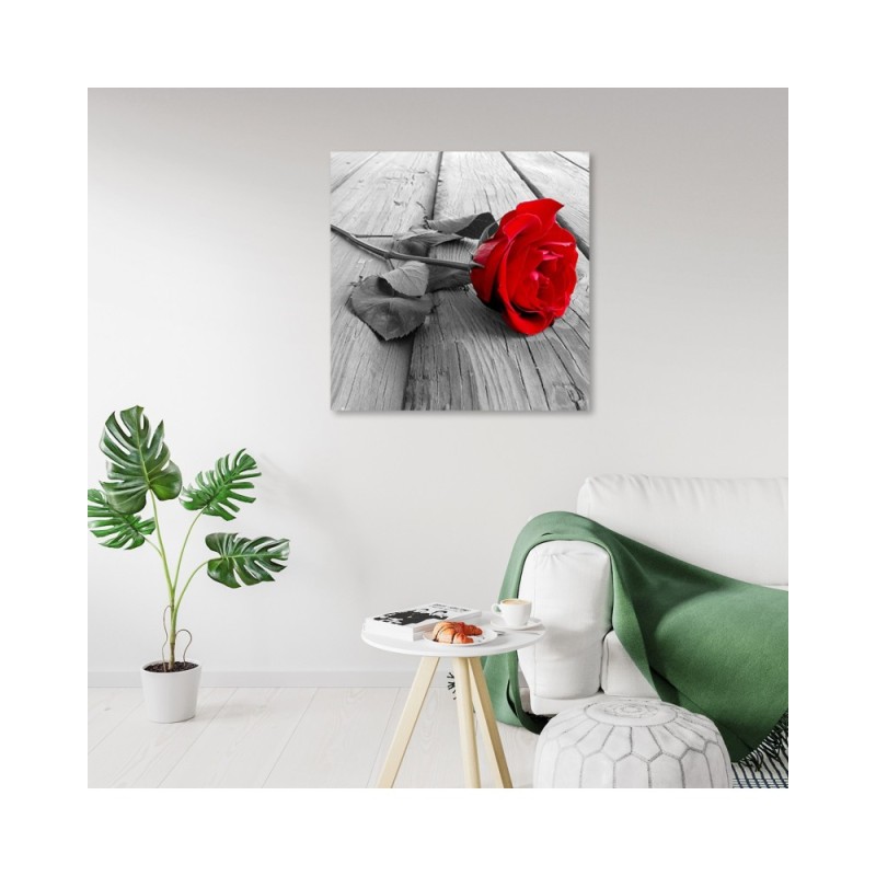 Leinwandbild - rote Rose | Feeby
