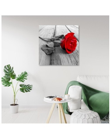 Leinwandbild - rote Rose | Feeby