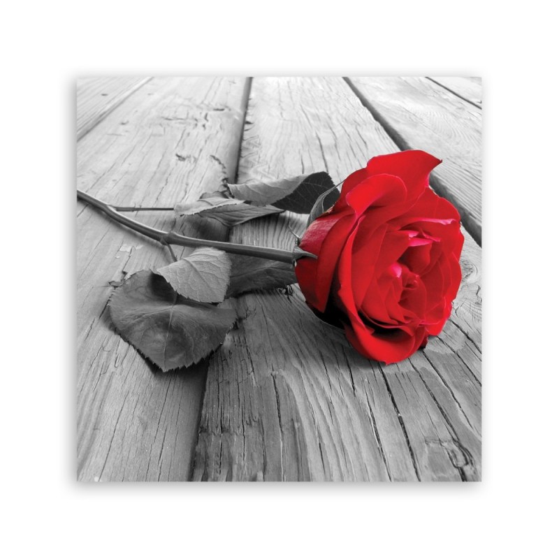 Leinwandbild - rote Rose | Feeby