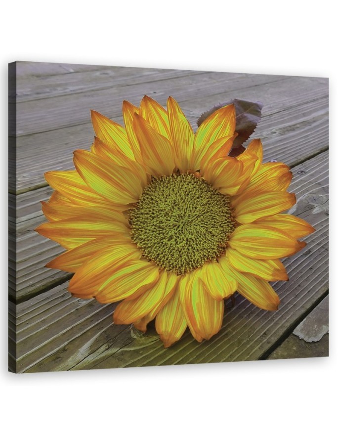 Modernes Wandbild - Gelbe Sonnenblume | Feeby