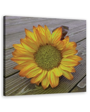Modernes Wandbild - Gelbe Sonnenblume | Feeby