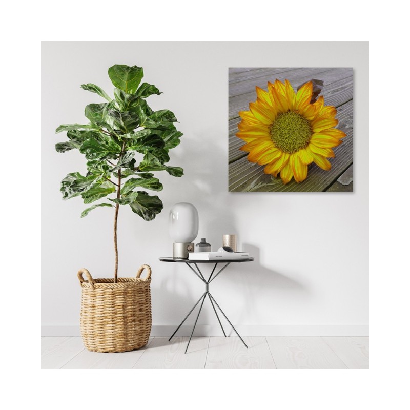 Modernes Wandbild - Gelbe Sonnenblume | Feeby
