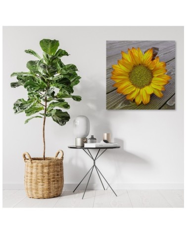 Modernes Wandbild - Gelbe Sonnenblume | Feeby
