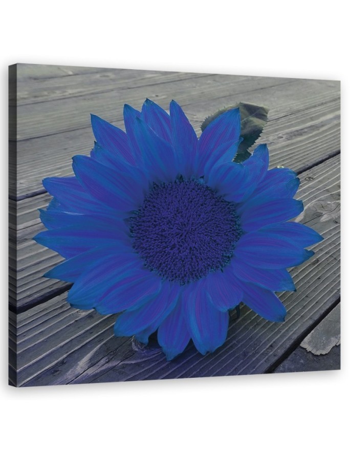 Leinwandbild - Blaue Sonnenblume | Feeby