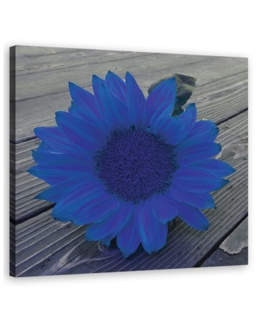 Leinwandbild - Blaue Sonnenblume | Feeby