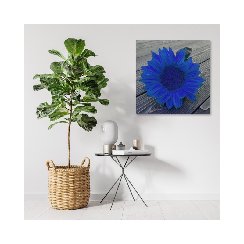 Leinwandbild - Blaue Sonnenblume | Feeby
