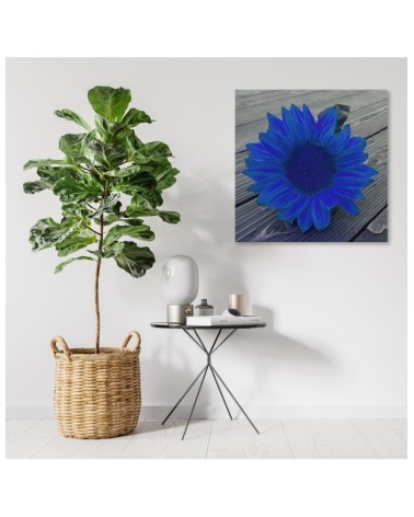 Leinwandbild - Blaue Sonnenblume | Feeby
