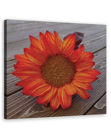 Modernes Wandbild - Orangefarbene Sonnenblume | Feeby