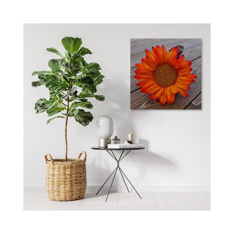 Modernes Wandbild - Orangefarbene Sonnenblume | Feeby