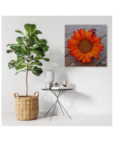 Modernes Wandbild - Orangefarbene Sonnenblume | Feeby
