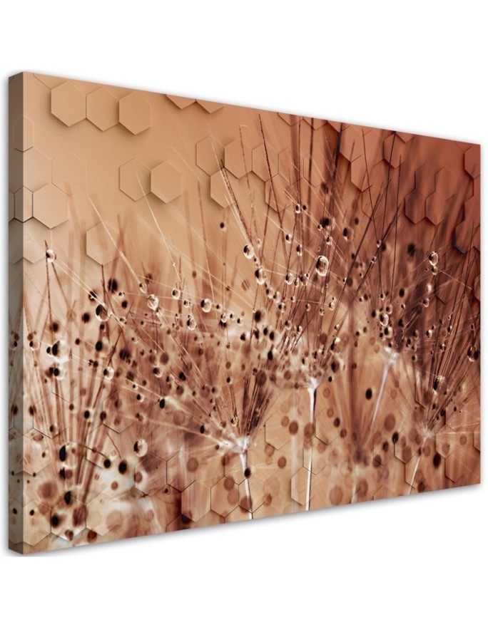 Dekoratives Leinwandbild - Pusteblume in Tau Tropfen | Feeby