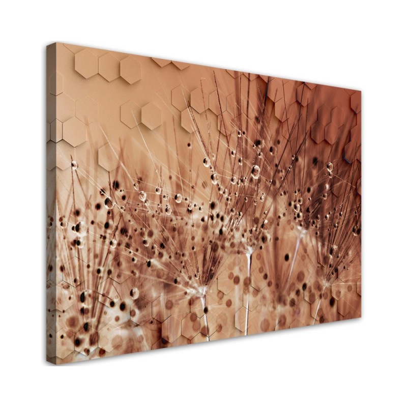 Dekoratives Leinwandbild - Pusteblume in Tau Tropfen | Feeby