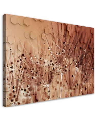 Dekoratives Leinwandbild - Pusteblume in Tau Tropfen | Feeby