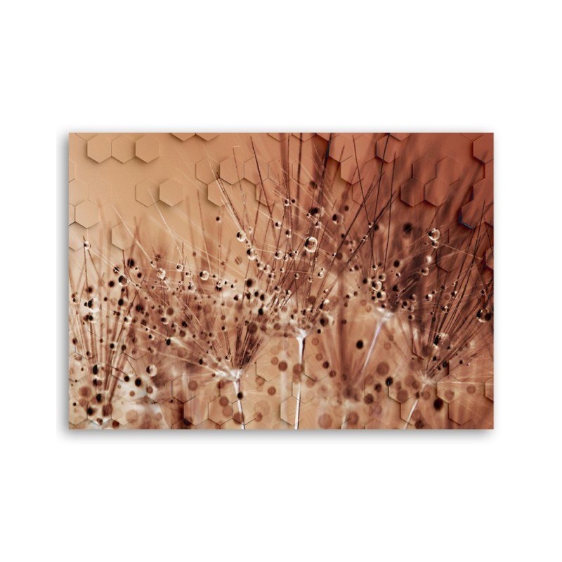 Dekoratives Leinwandbild - Pusteblume in Tau Tropfen | Feeby