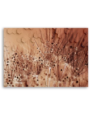 Dekoratives Leinwandbild - Pusteblume in Tau Tropfen | Feeby