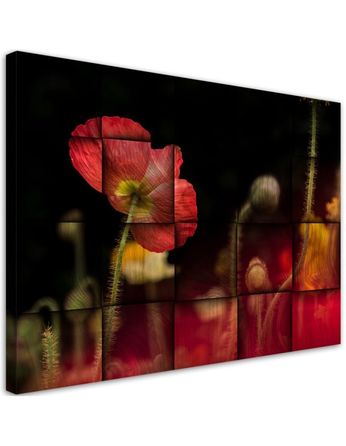 Leinwandbild - Rote Mohnblume | Feeby