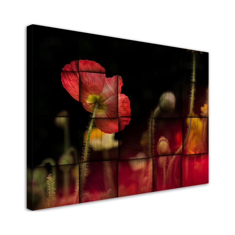 Leinwandbild - Rote Mohnblume | Feeby