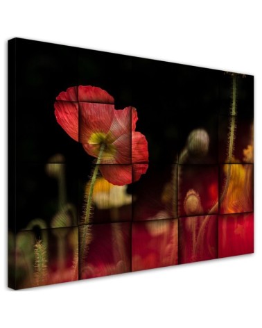 Leinwandbild - Rote Mohnblume | Feeby