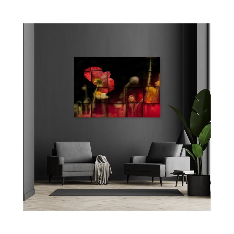 Leinwandbild - Rote Mohnblume | Feeby