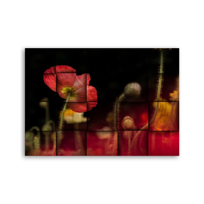 Leinwandbild - Rote Mohnblume | Feeby