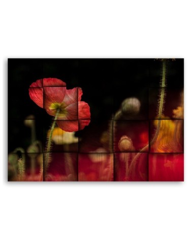 Leinwandbild - Rote Mohnblume | Feeby